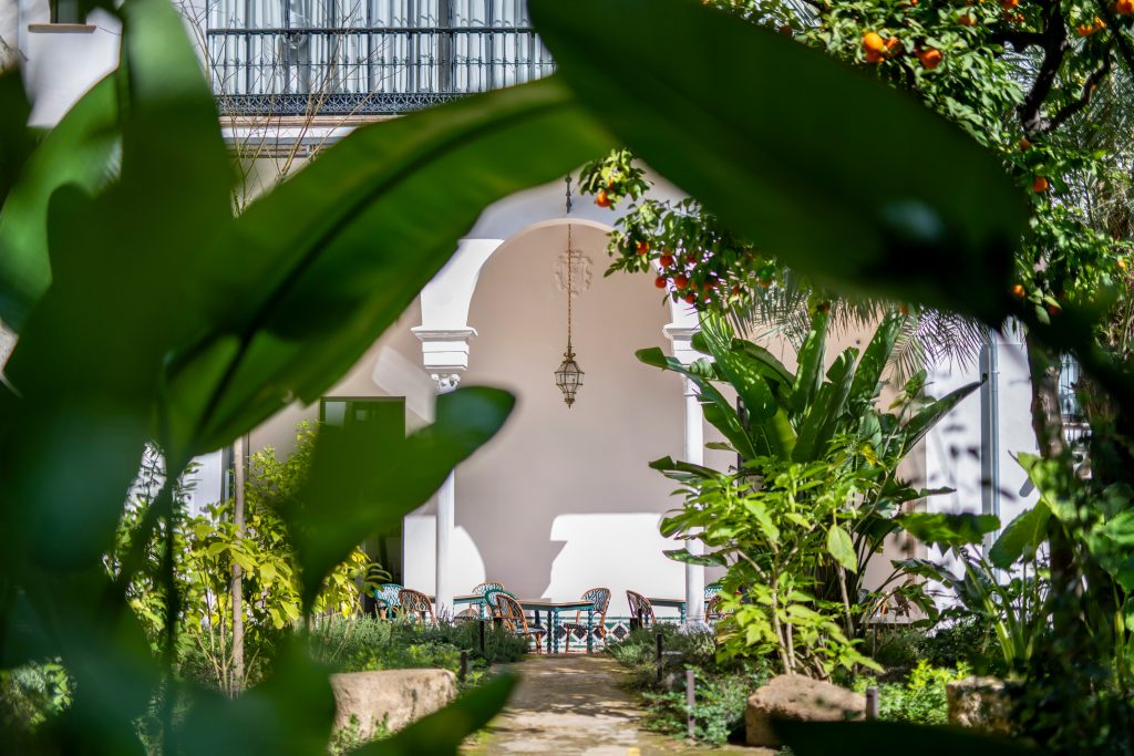CASA DEL LIMONERO — photo 3