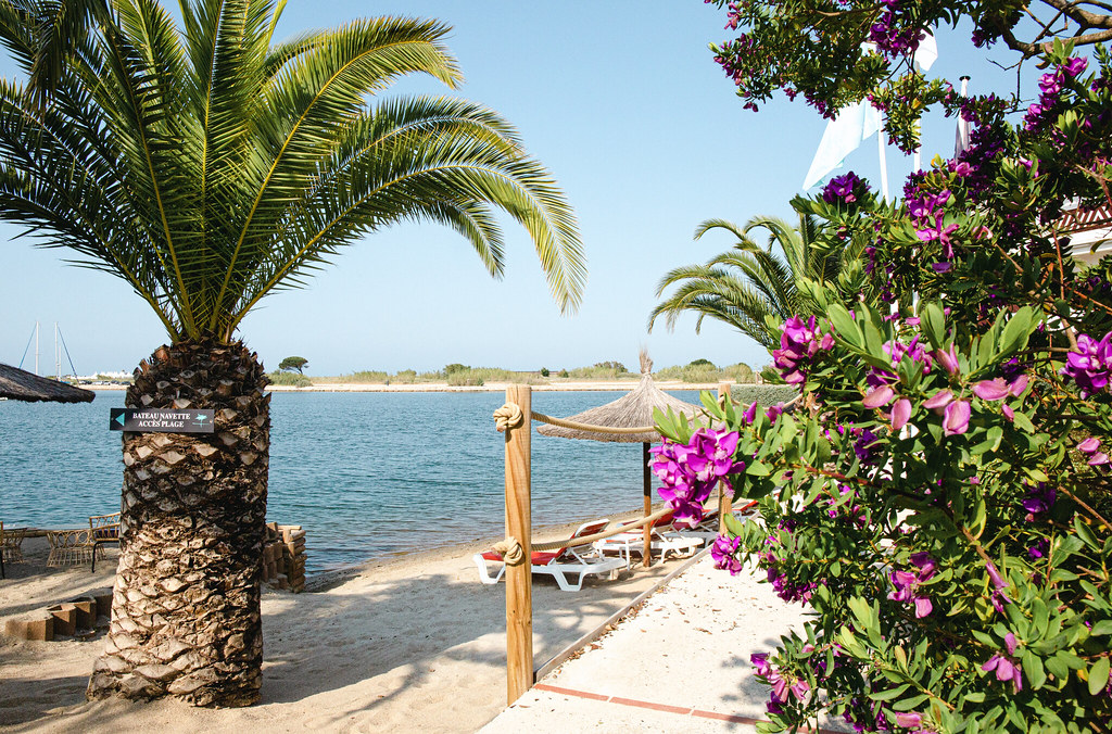 L’ÎLE DE LA LAGUNE — photo 2