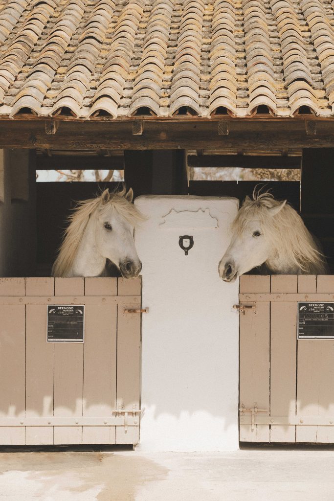 LES BAINS GARDIANS — photo 15