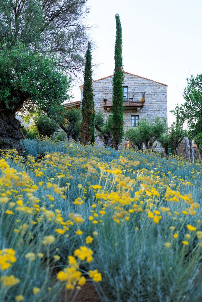 A MANDRIA DI MURTOLI — photo 2