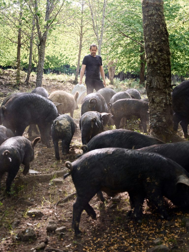 FERME A PIGNATA — photo 8