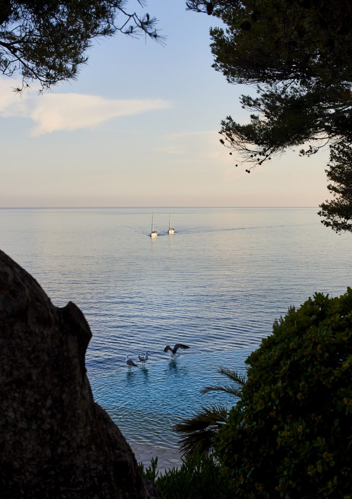 LES ROCHES BLANCHES — photo 7
