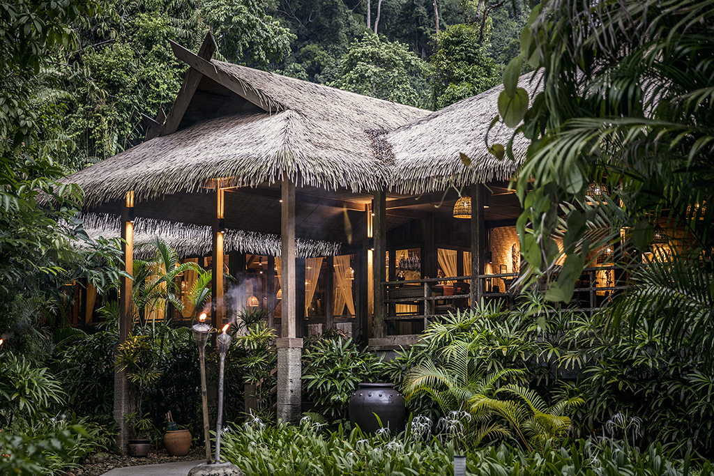 THE DATAI — photo 8