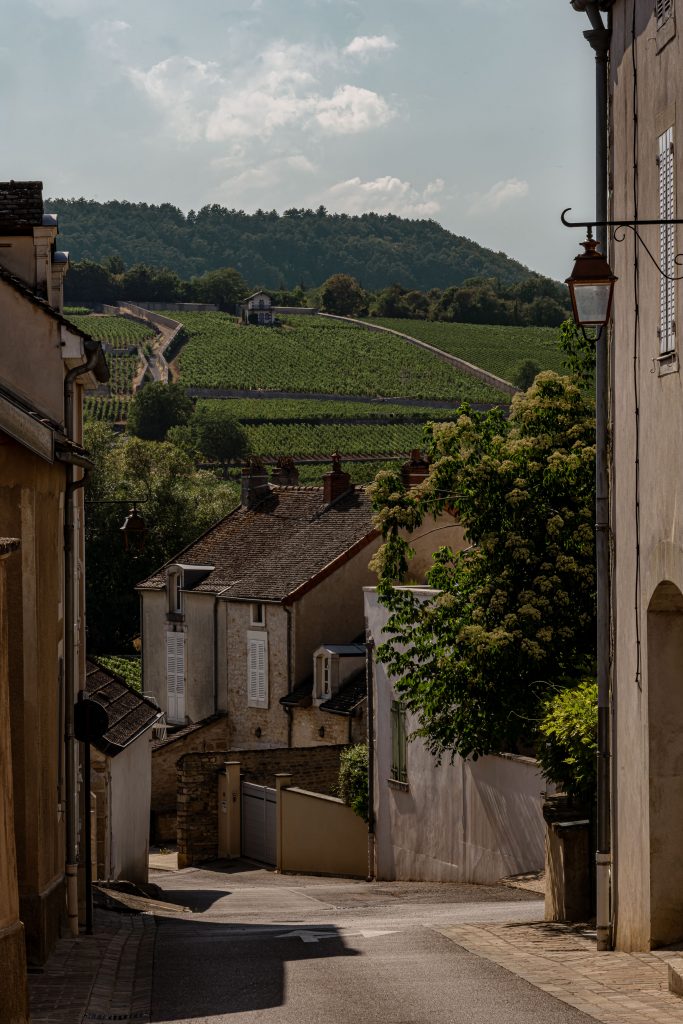 MAISON LE CHEVREUIL — photo 24